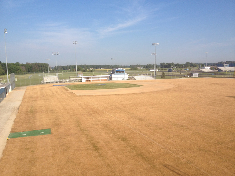 All vegetation outside of infield sprayed.